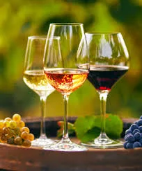 VINS