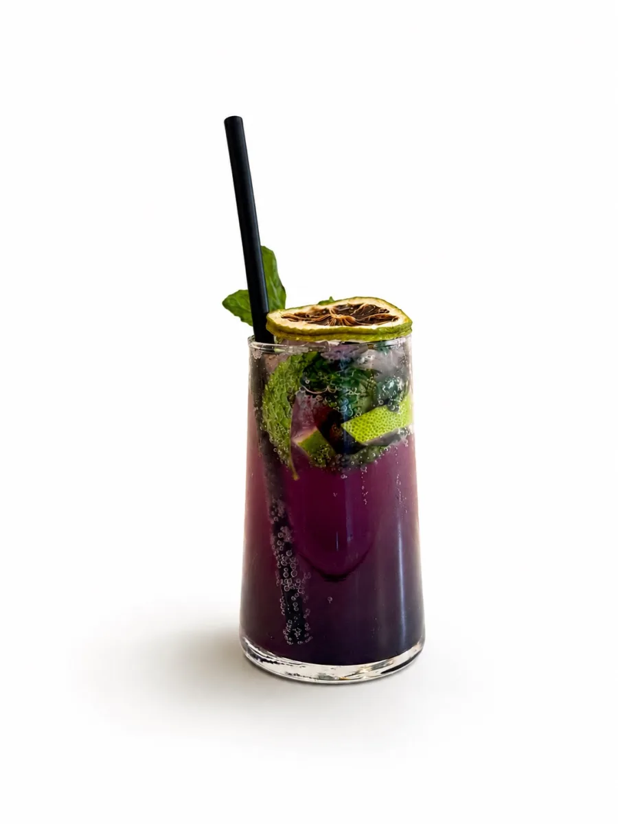 Blueberry Mojito